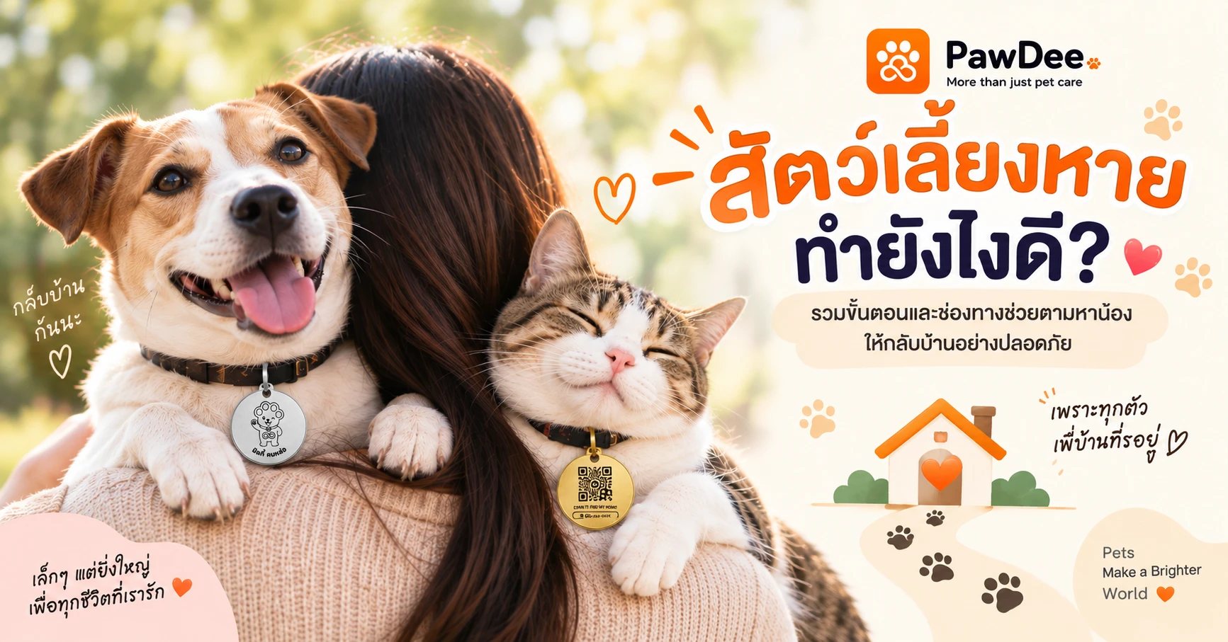 สัตว์เลี้ยงหาย ทำยังไงดี? คู่มือ 8 ขั้นตอน