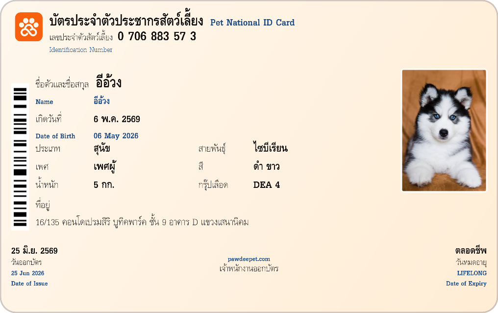 ตัวอย่างบัตรแข็ง Pet ID ด้านหน้า — ชื่อ สายพันธุ์ วันเกิด กรุ๊ปเลือด และรูปน้อง